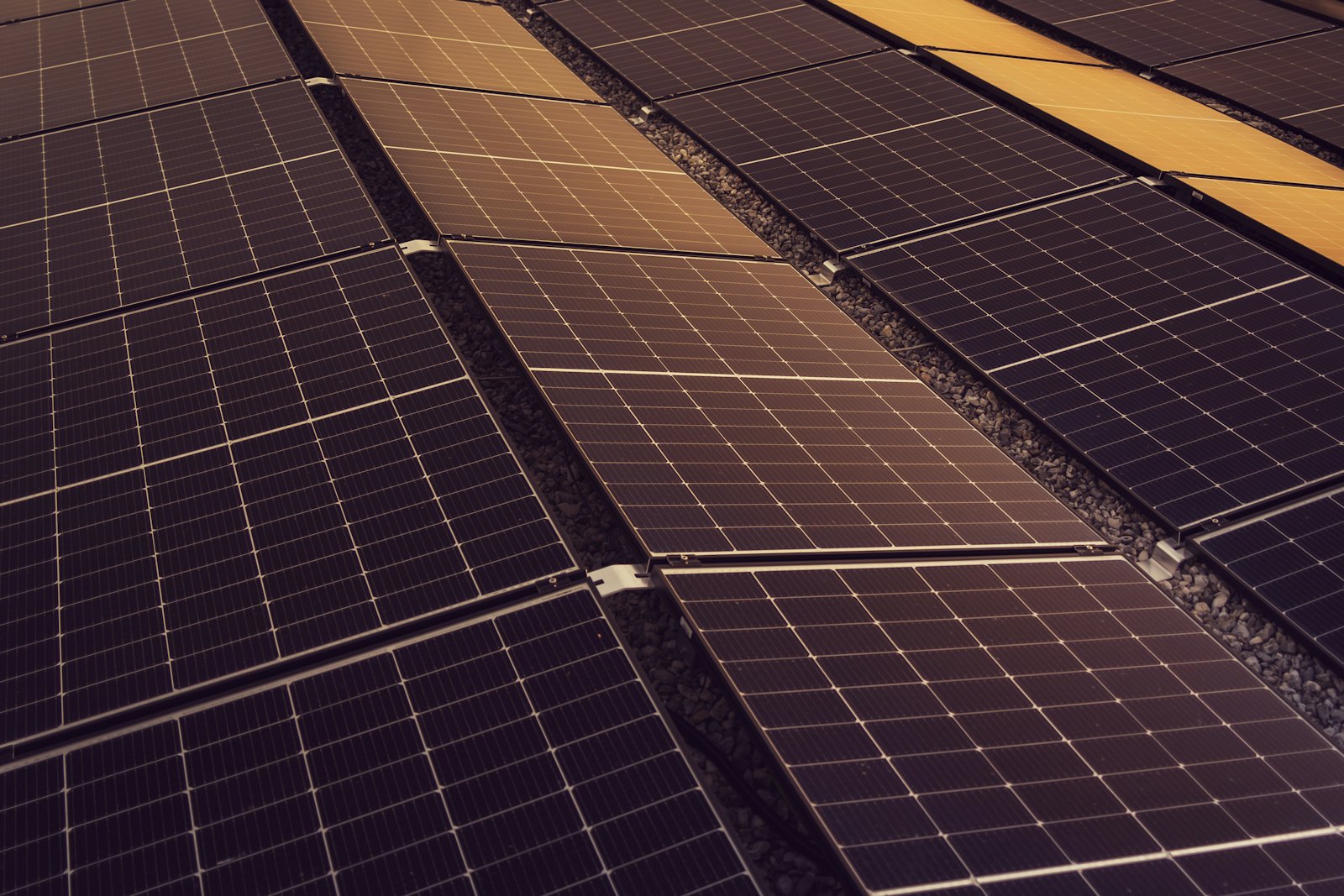 Net Metering Explained: How You Earn From the Sun